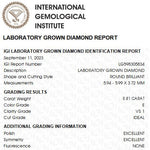 Load image into Gallery viewer, Diamant Rond 0.81 ct, certificat IGI diamant de laboratoire, couleur E, pureté VS1
